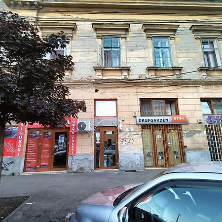 Casa Heidi Hotel Timisoara Ngoại thất bức ảnh